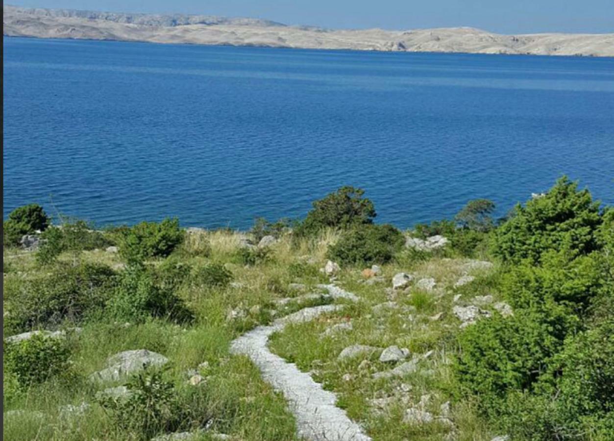 Villa Lilly سيساريكا المظهر الخارجي الصورة